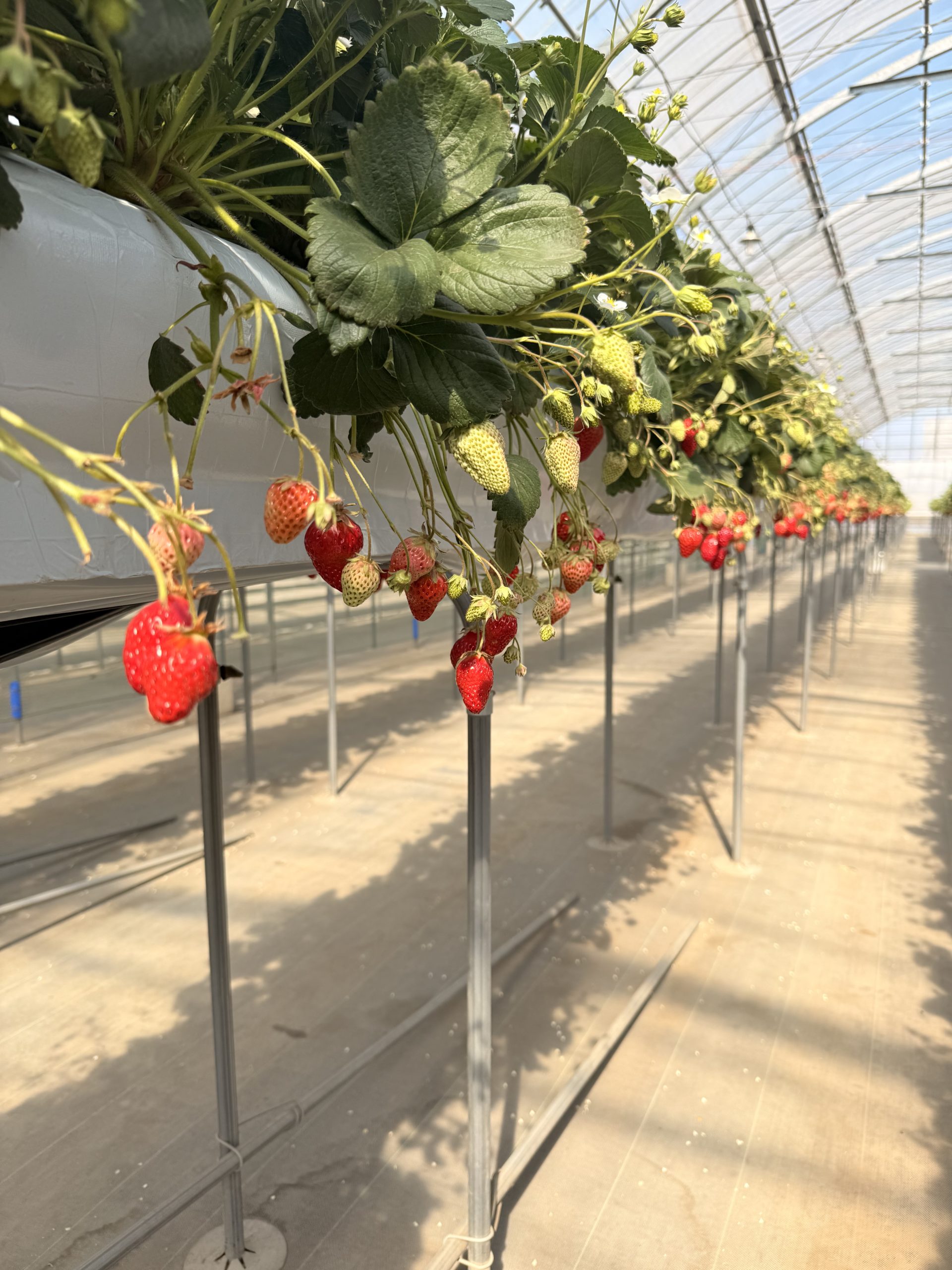 親子関係で大切なこと。